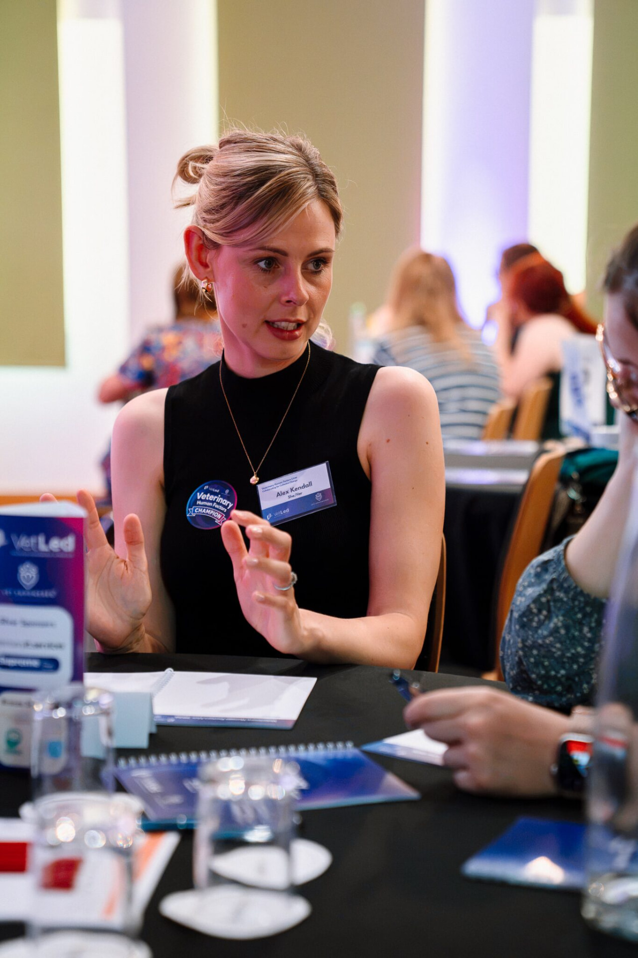 Alex Kendall mid-conversation at Veterinary Human Factors Live