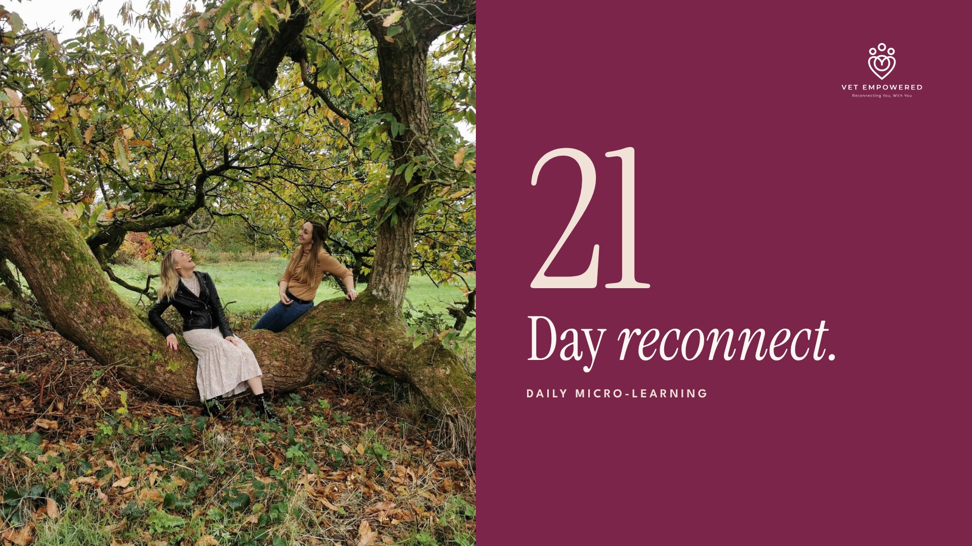 Course cover for The 21 Day Reconnect by Vet Empowered