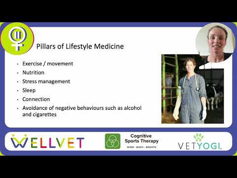Play: Menopause Treatment Options