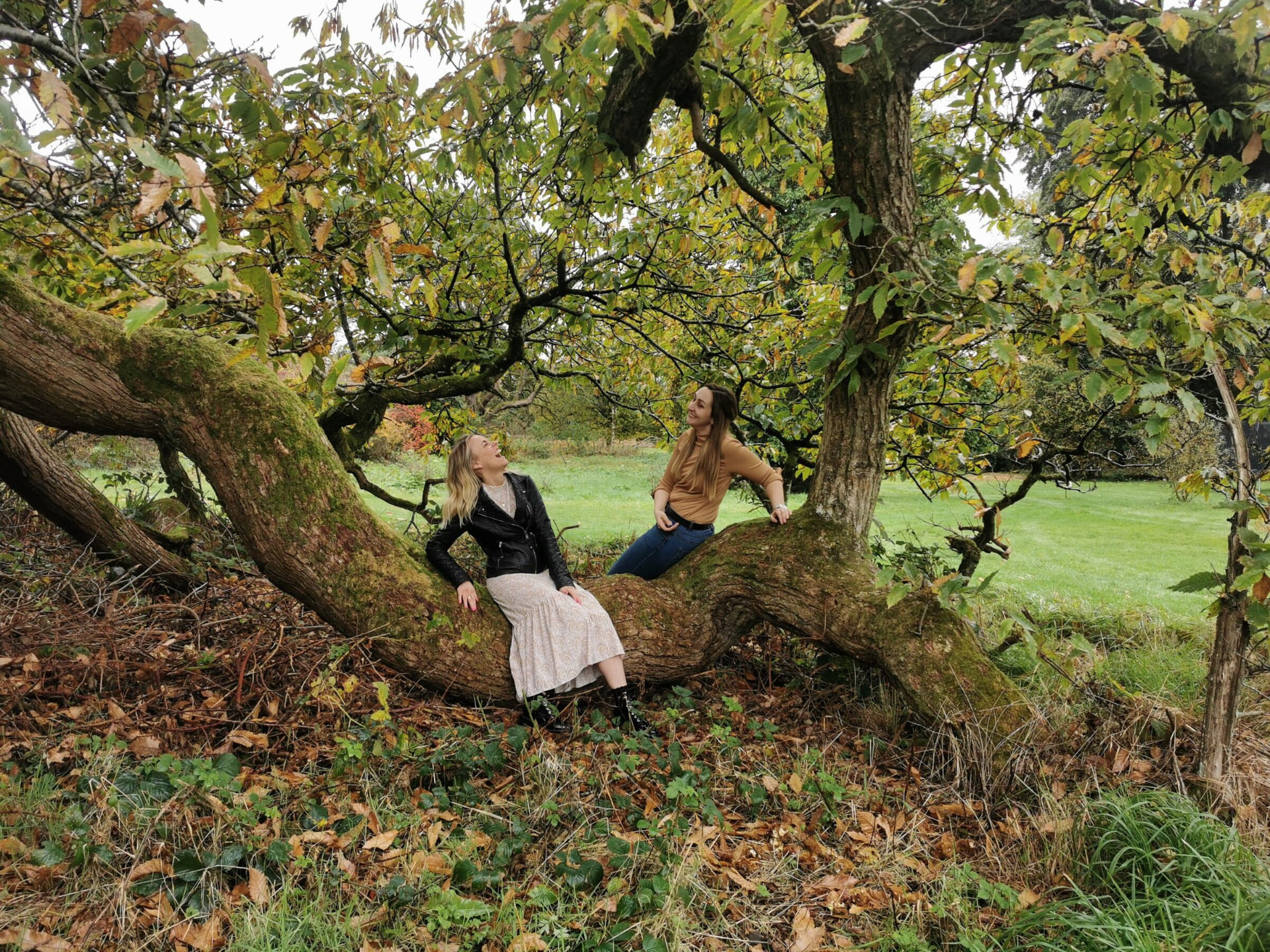 Katie Ford and Claire Grigson laughing on the trunk of an old tree