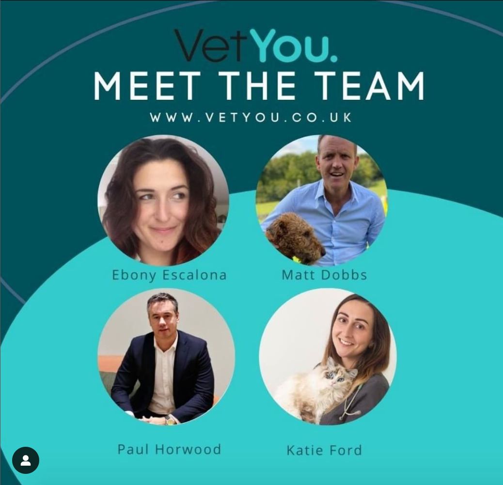 A photo of all of the VetYou team members